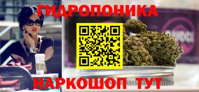 тгк Гусь-Хрустальный