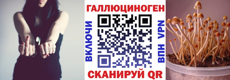 дарнет шоп Бор Псилоцибиновые грибы MAGIC MUSHROOMS
