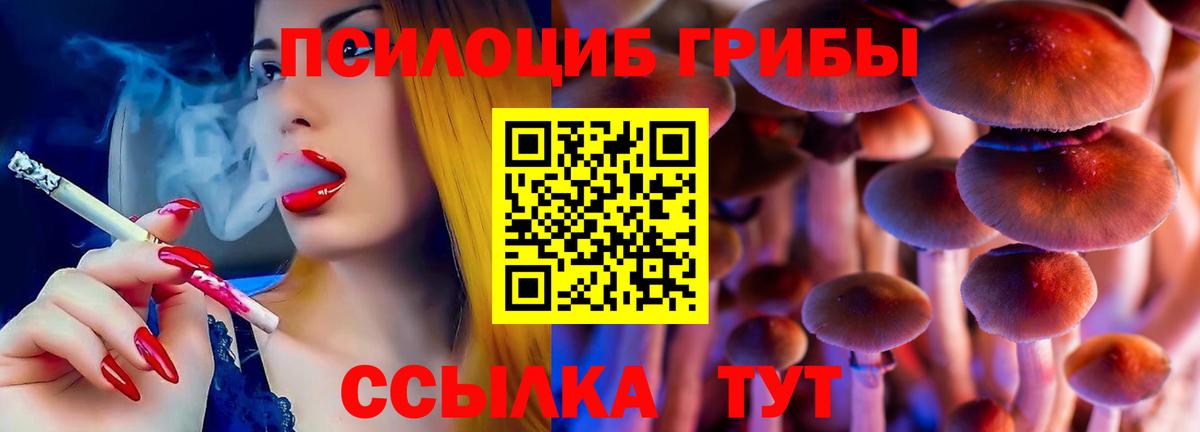 Галлюциногенные грибы ЛСД Бор